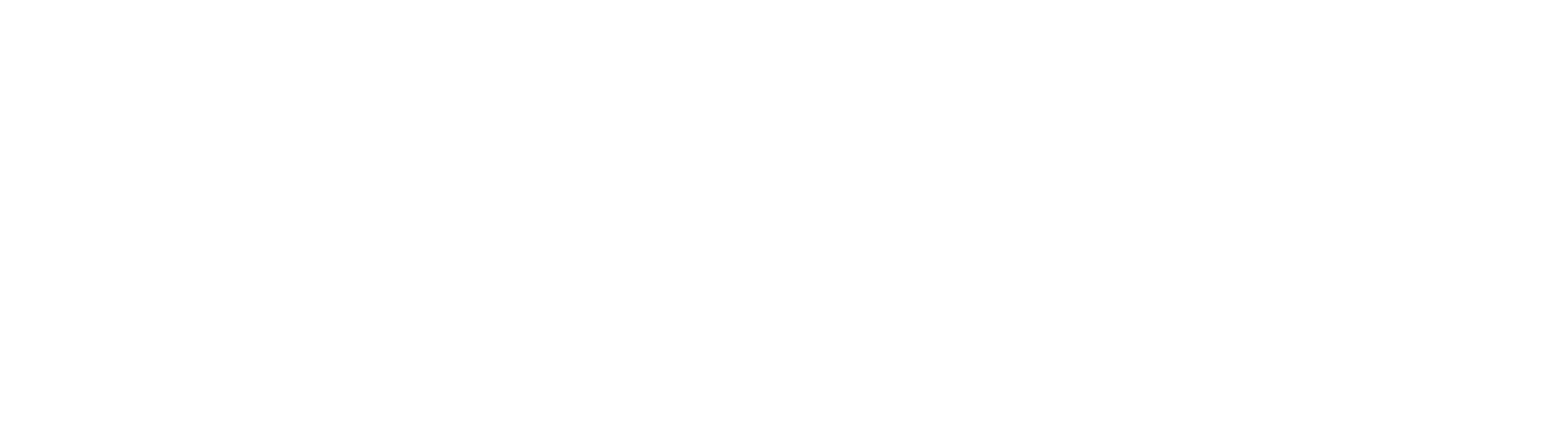 ava hosting logo blanco